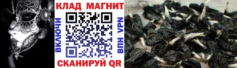 Хочу наркоту Сегежа АМФЕТАМИН  Конопля  COCAIN  A PVP  МЕФ  Гашиш 