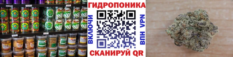 blacksprut tor  купить наркоту  Сегежа  Еда ТГК марихуана 