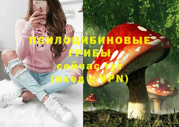 гашик Баксан