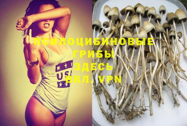 гашик Баксан