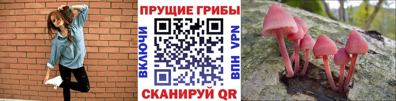 Псилоцибиновые грибы MAGIC MUSHROOMS  Сегежа 