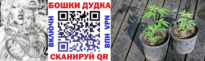 МАРИХУАНА марихуана  даркнет сайт  Сегежа 